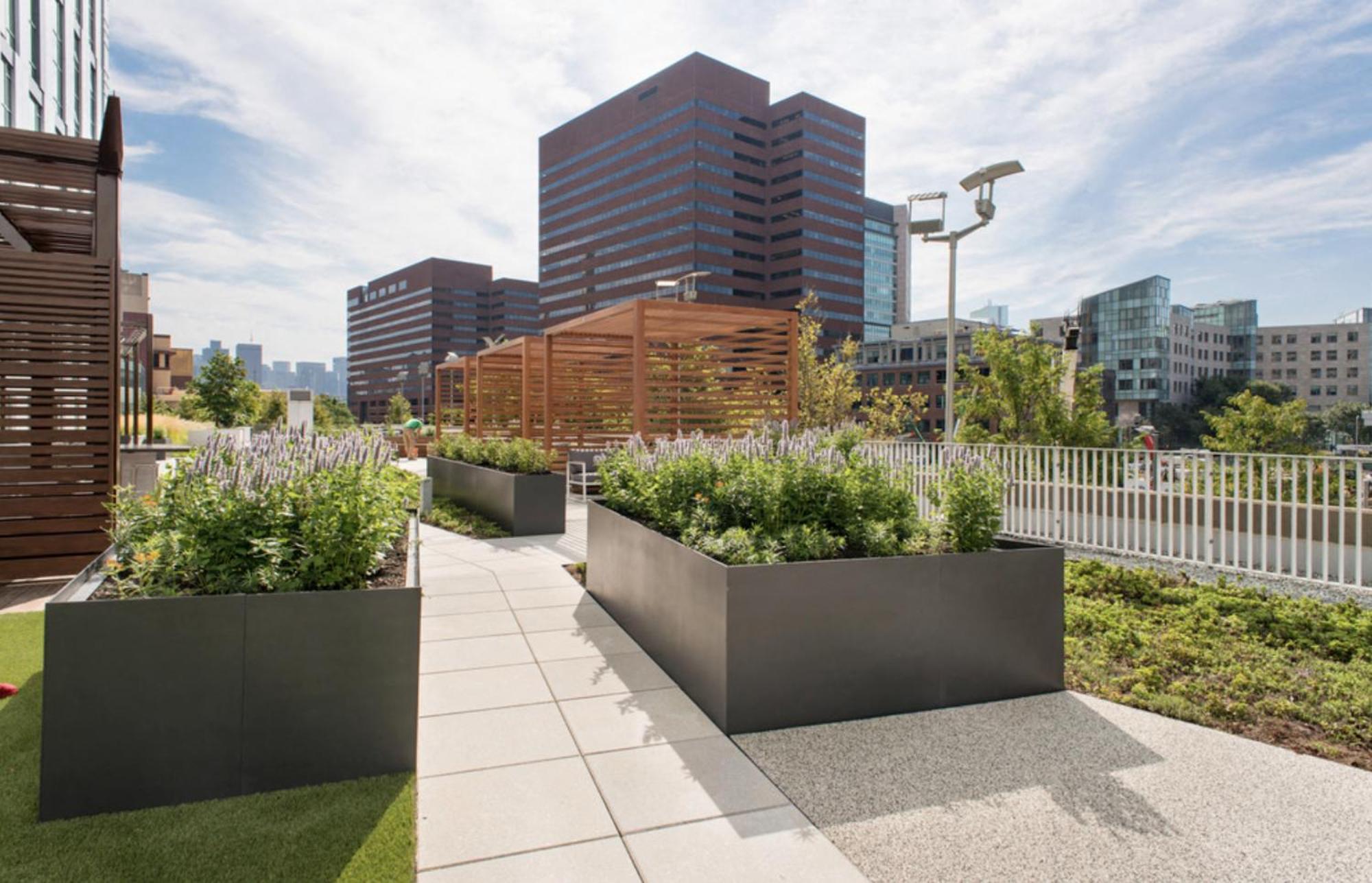 Luxury Near Kendall Sq *
